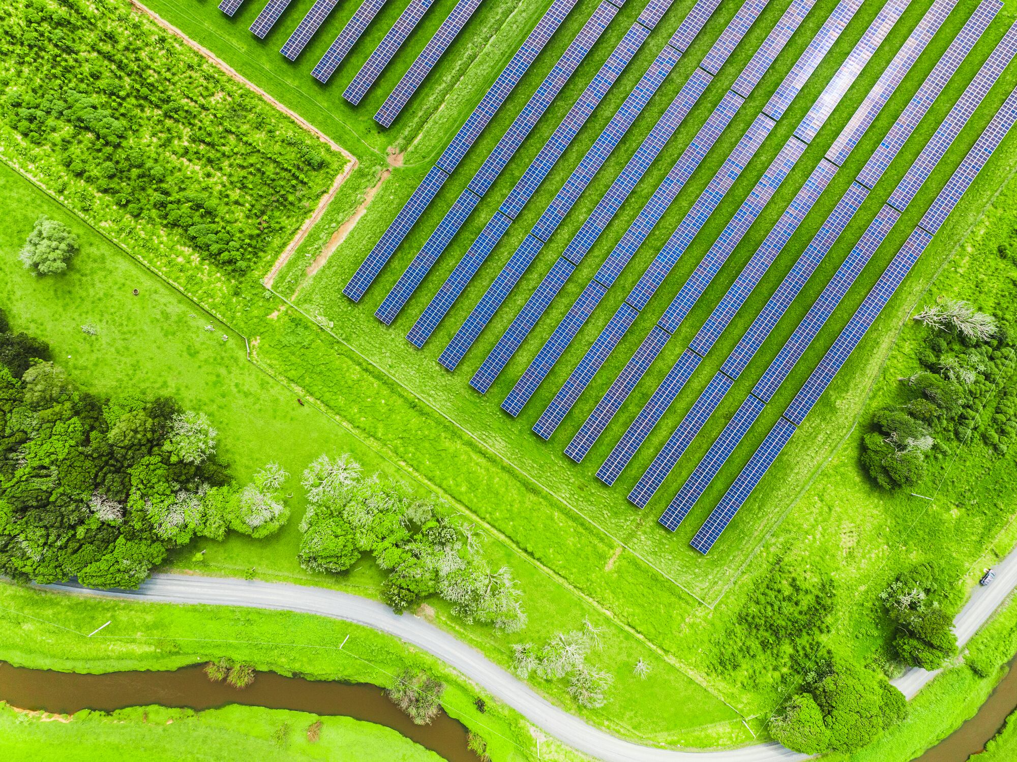 New Zealand’s high-performance farming systems offer a real-world testbed for agri-tech firms looking to prove scalability and global relevance.