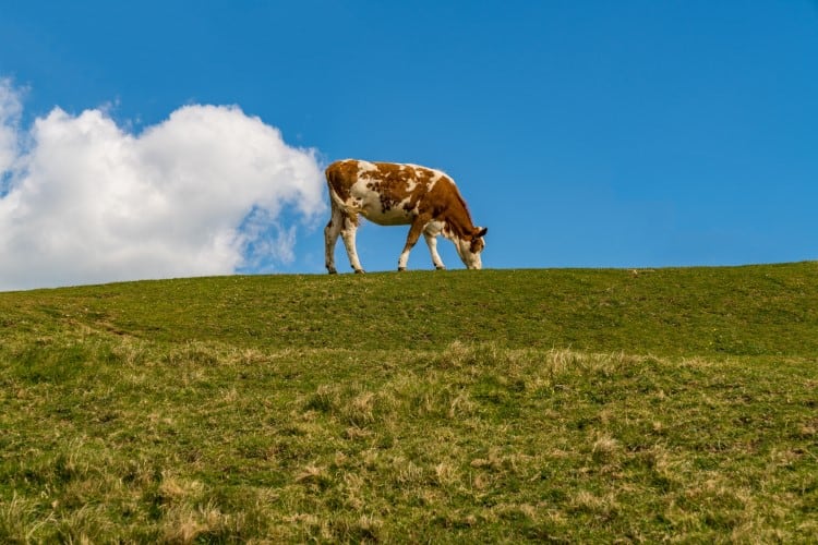 Start-up behind methane-eating microbes technology raises $28m