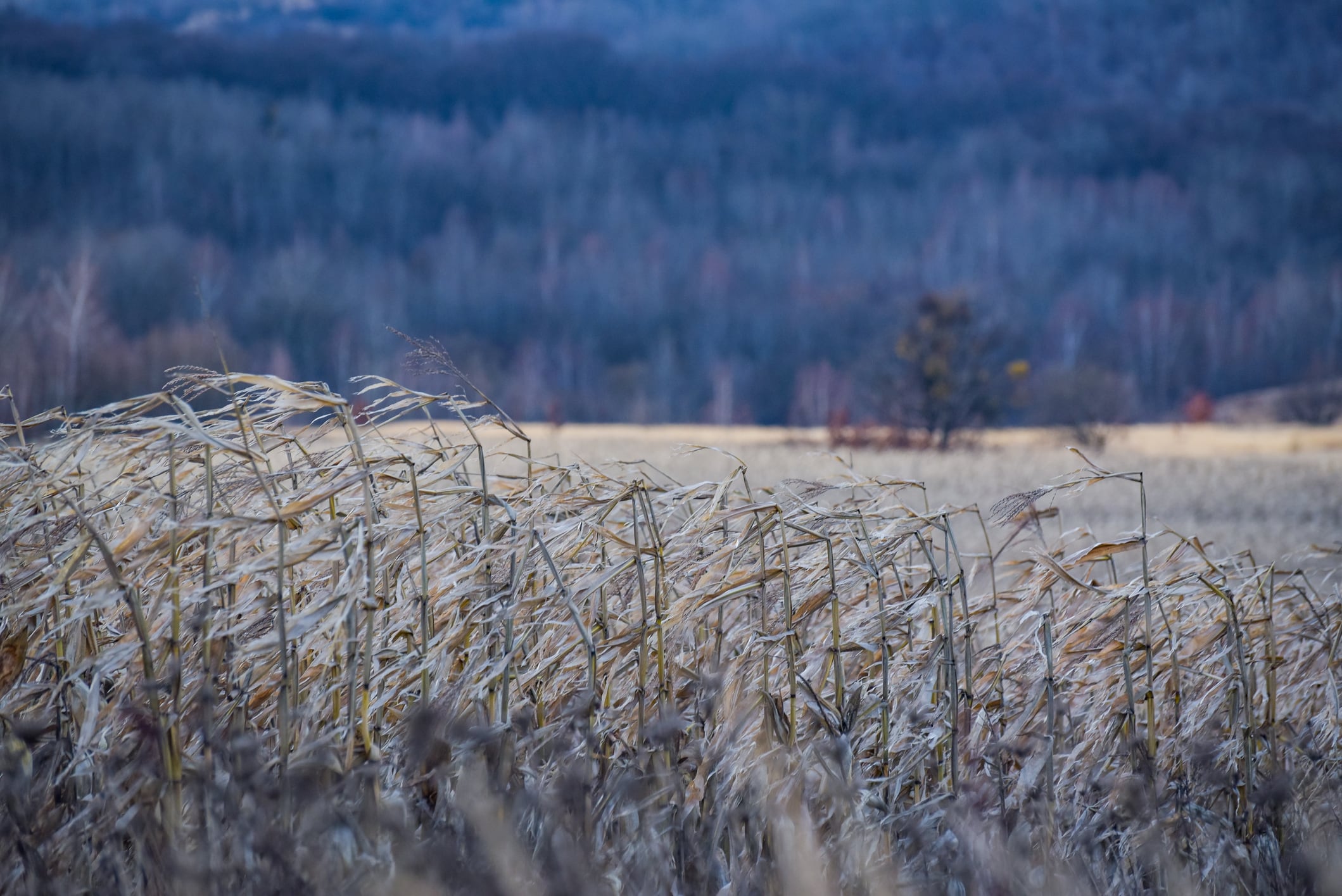 Ukraine feeds 400 million people across 100 countries. The pressure of operating in a volatile, high‑risk environment has accelerated demand for tools that move beyond reporting toward real-time operational intelligence.
