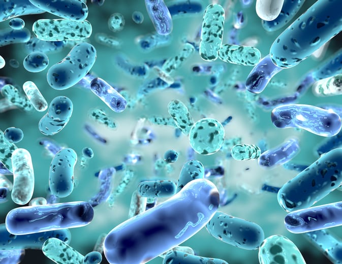 Next-generation-probiotics-in-monogastrics.jpg