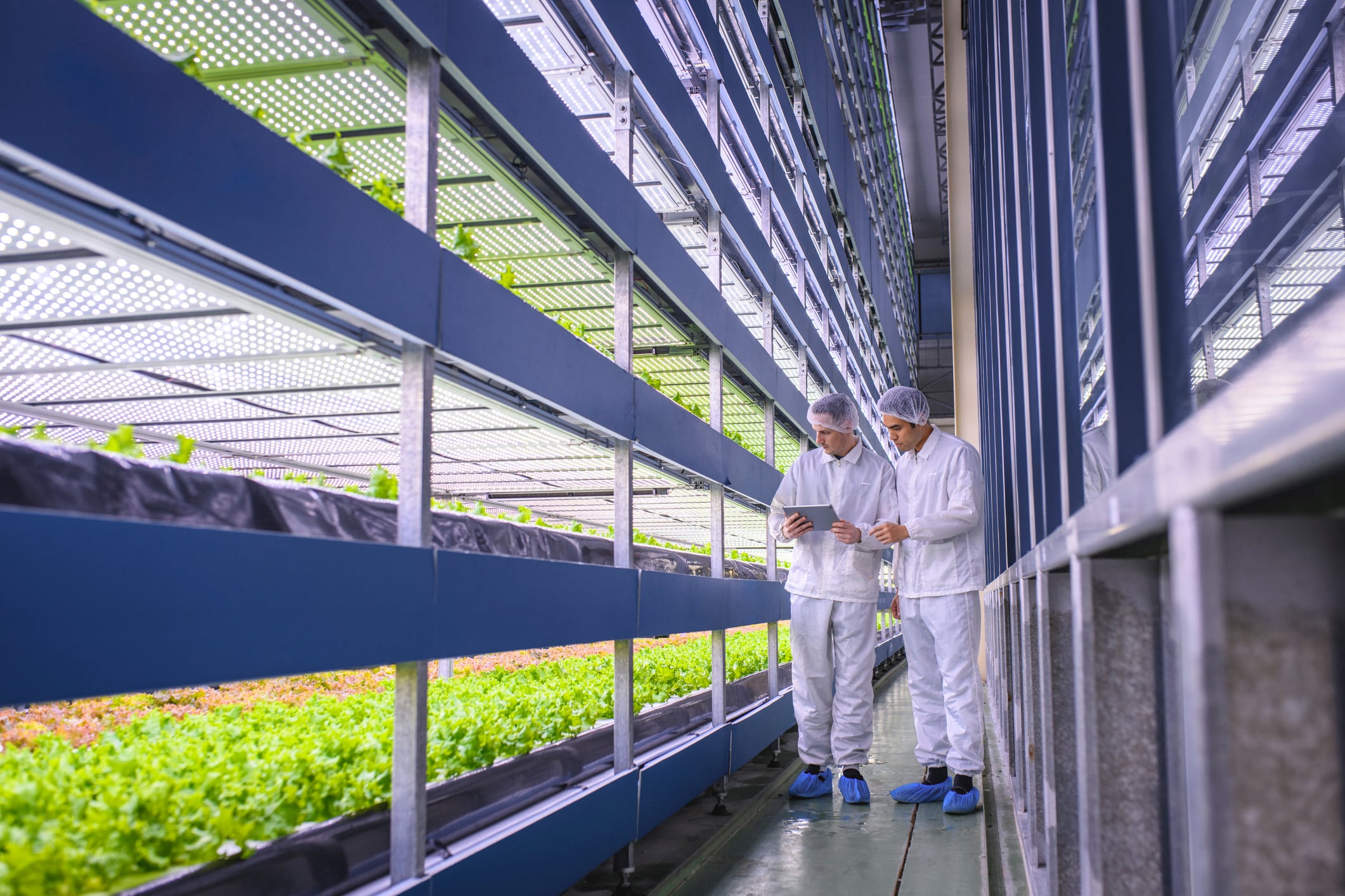 ‘You can’t eat tech’: Future of CEA is in collaboration, standardisation and localisation