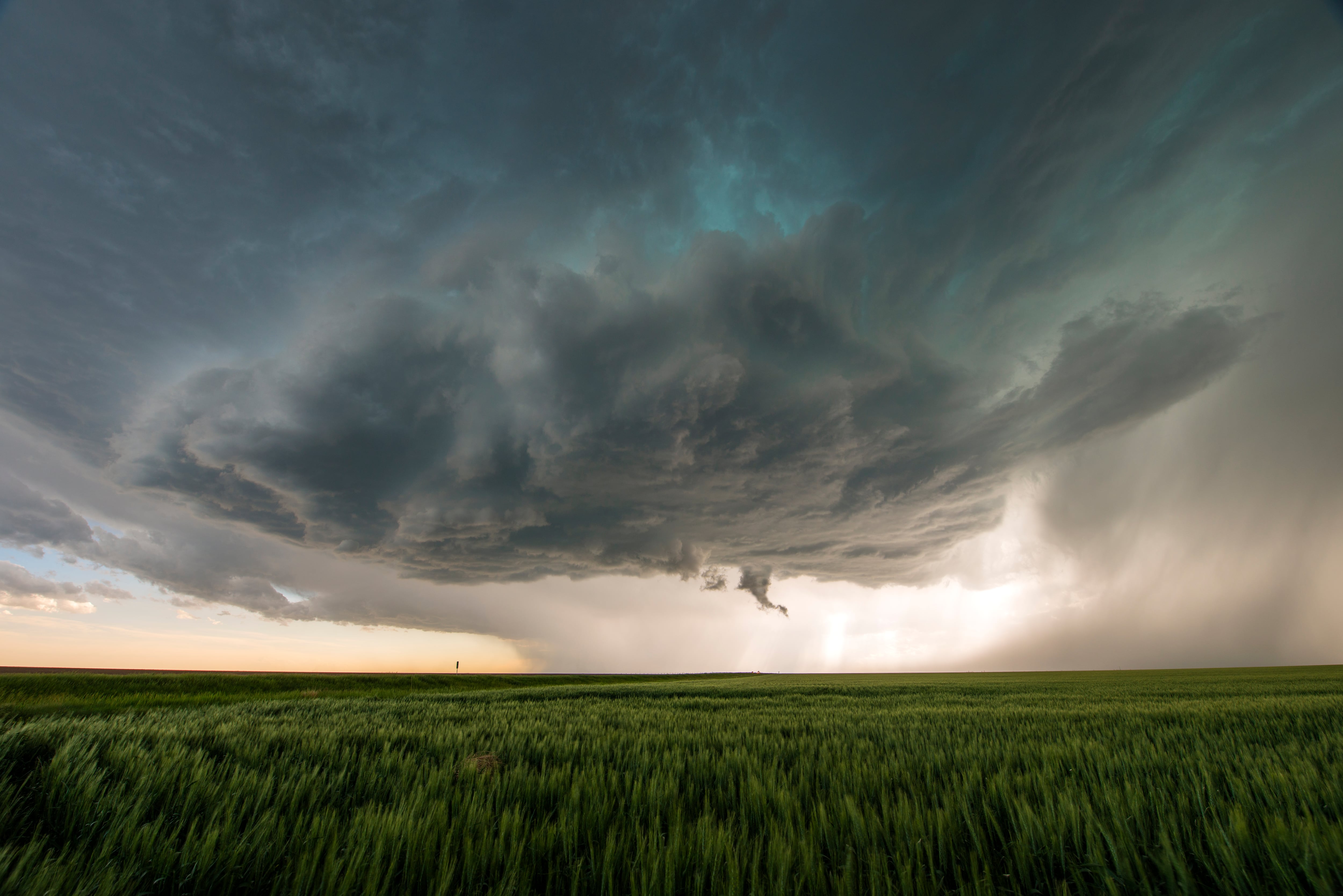 AI-based weather insurance stands to lower farmer premiums 37%, say scientists