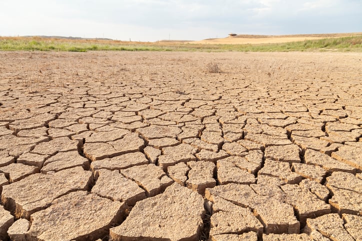 Drought: Spain’s grain imports set to break the 20 million tons ceiling
