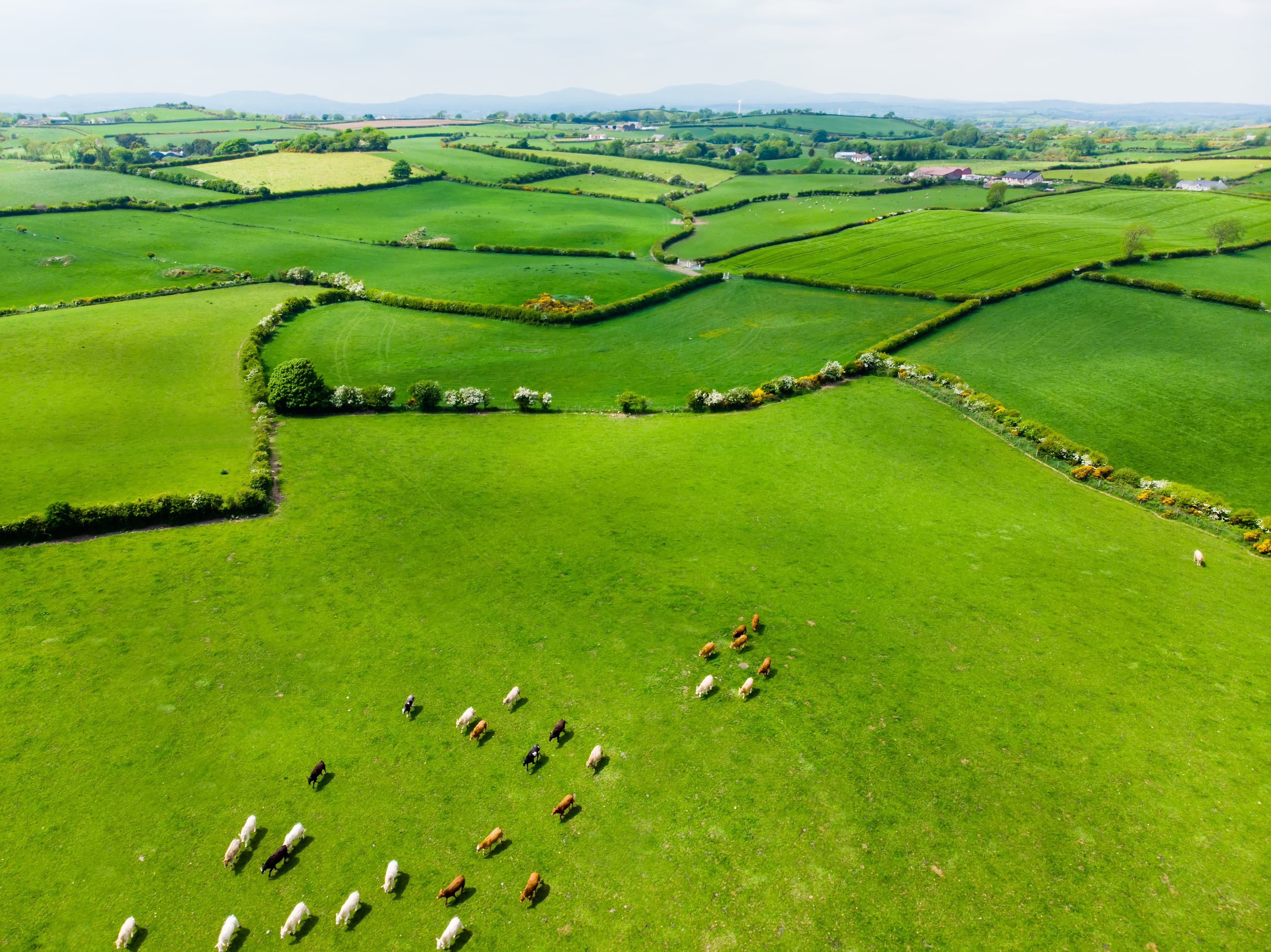Irish firm gets ESA backing to bring satellite-powered fertiliser tool to grassland farmers