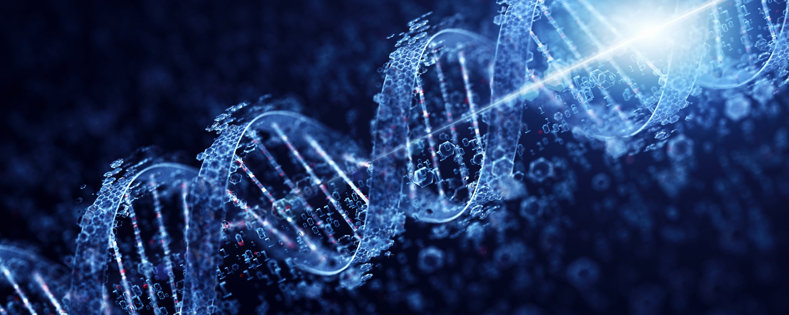 Better genes, better beef: Korea to launch hanwoo genetic testing to advance premium beef industry