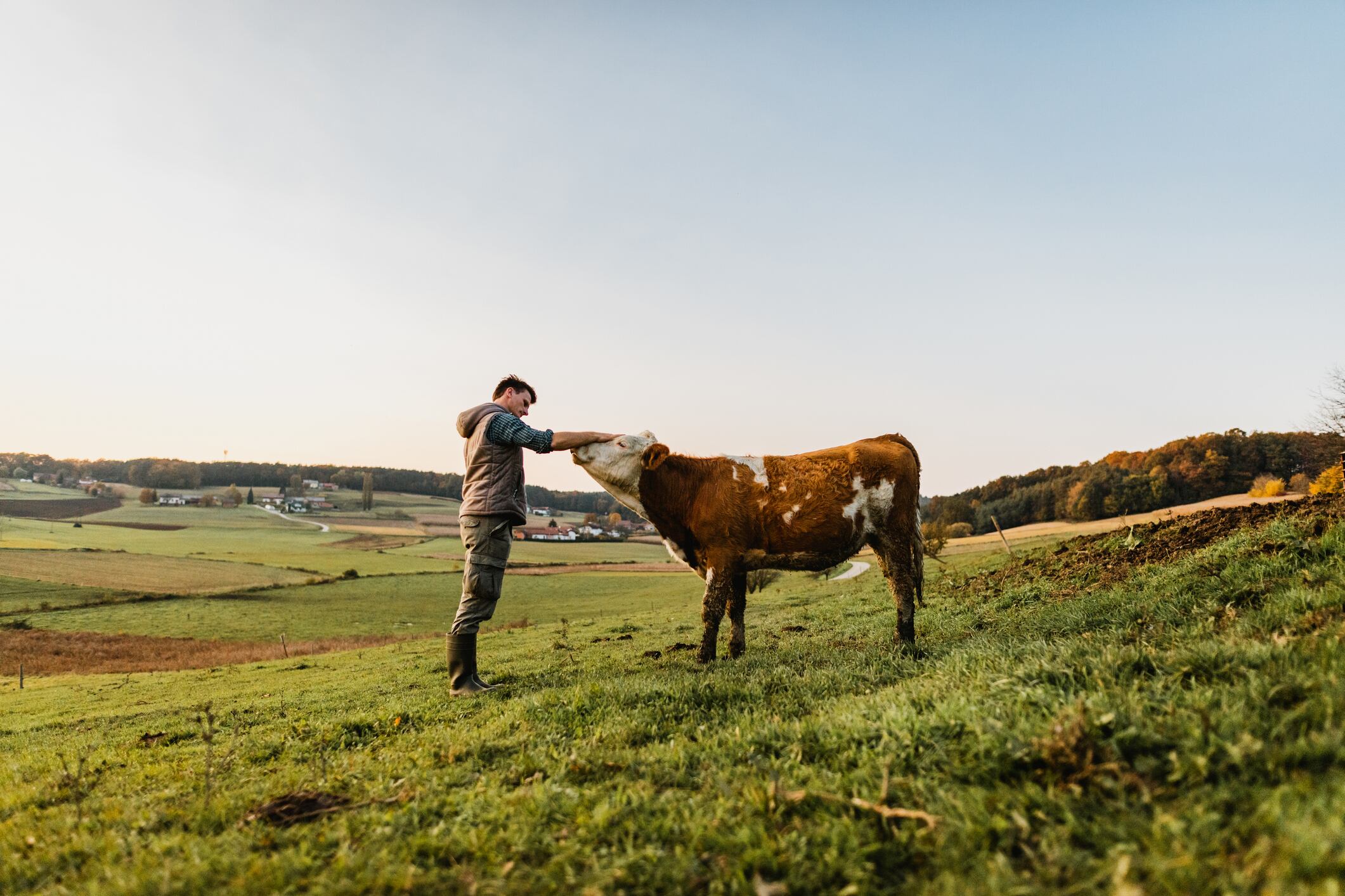 Investors see livestock systems as one of agriculture’s biggest opportunities for decarbonisation and productivity gains.