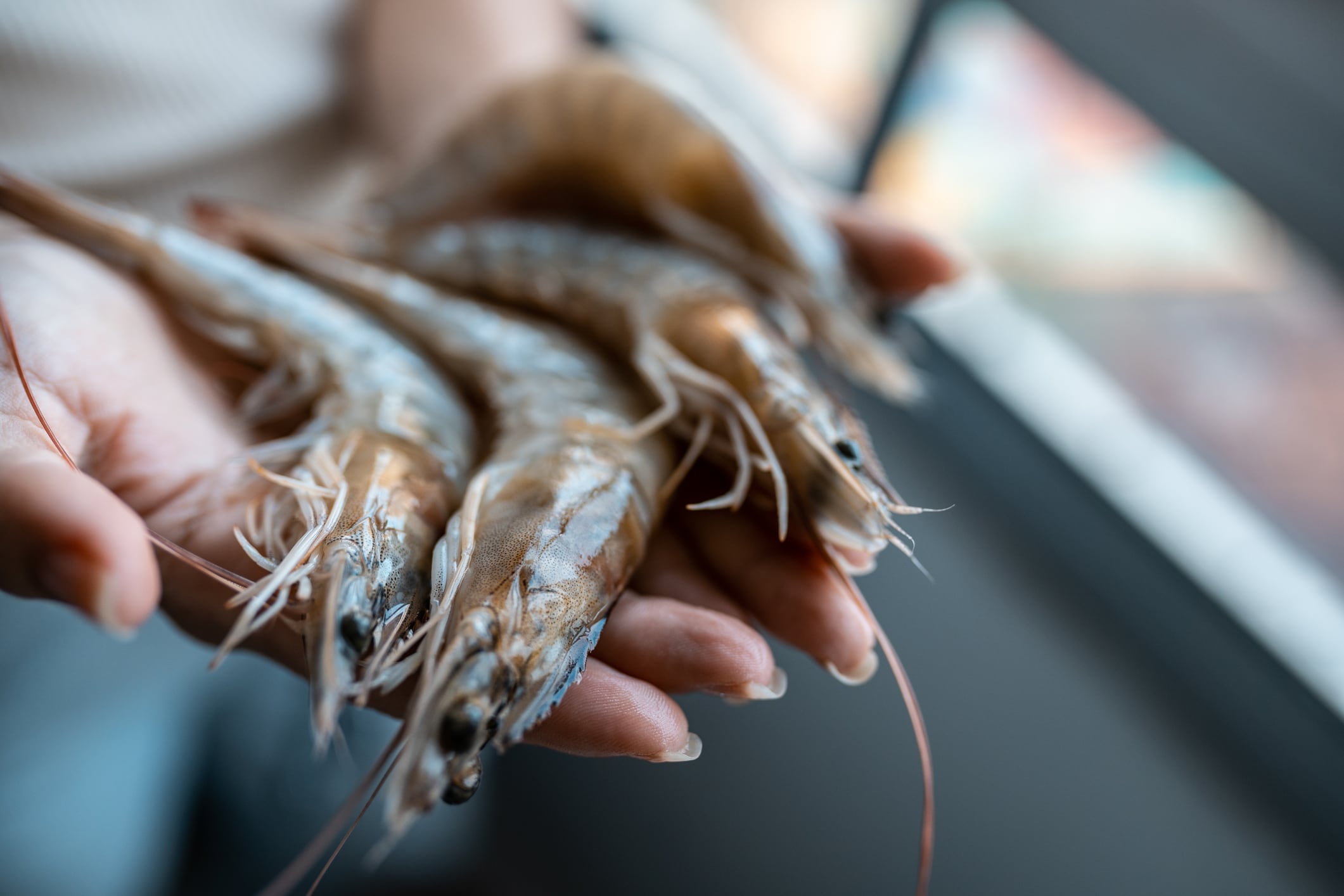 Double gains: China eyes integrated rice-fish farming to boost circularity and food security
