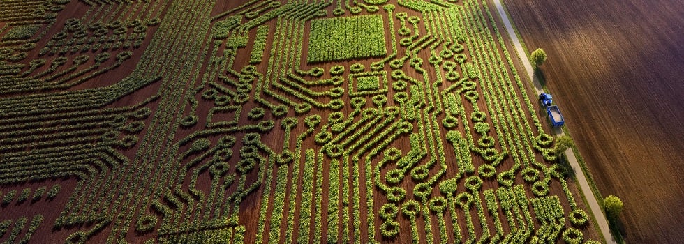 Putting-feed-intelligence-into-practice-with-raw-materials.jpg