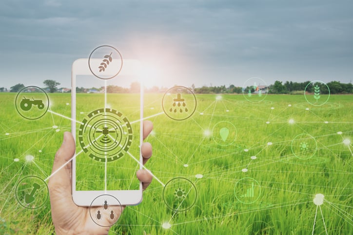 DiMuto secures US$5.9m to boost global agri-food chain traceability