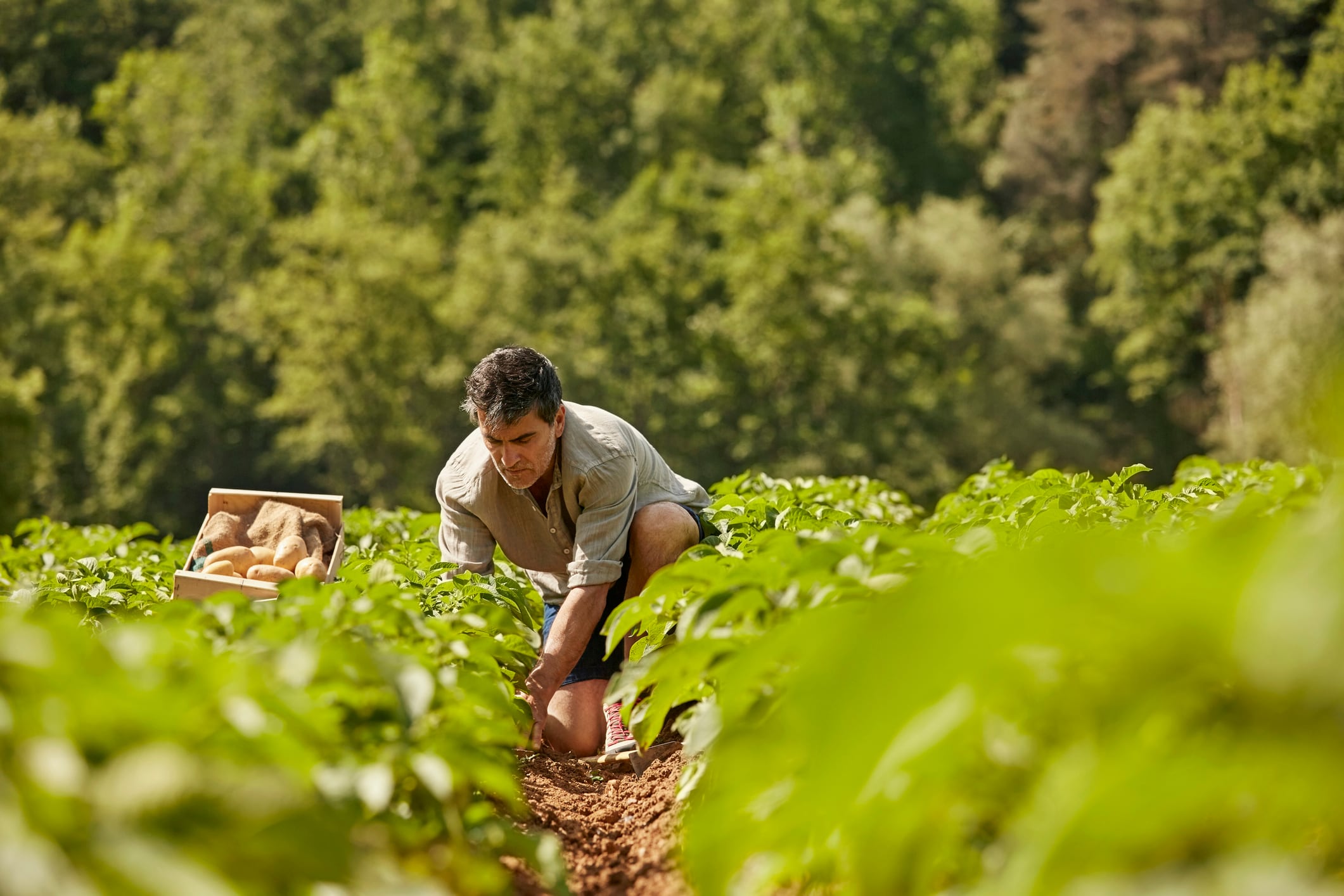 €5M project aims to advance farm robotics in Europe