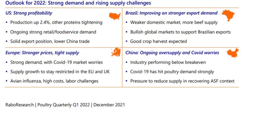 poultry-industry-outlook-december-2021-rabobank.jpg
