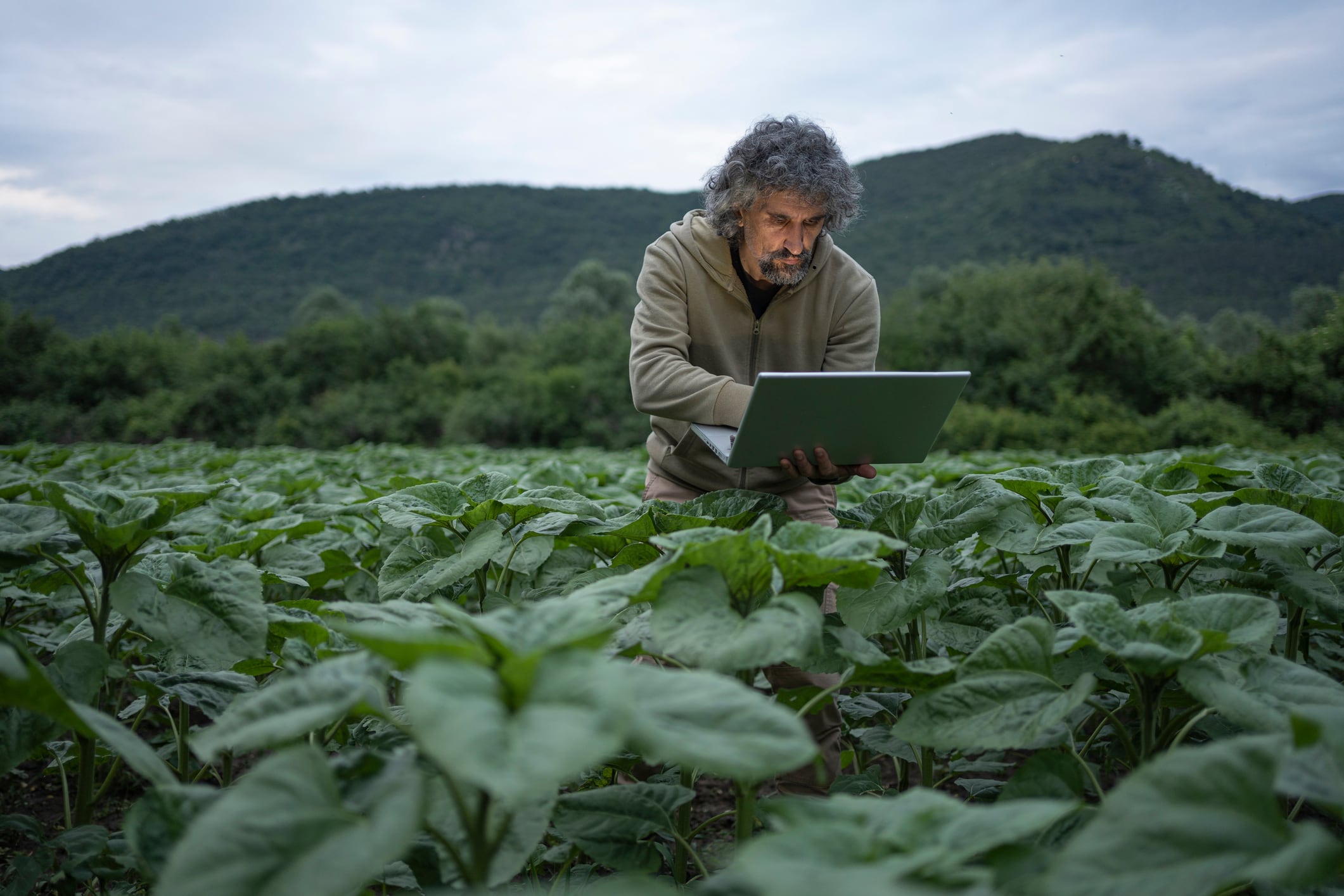 UK farmers say their sustainability efforts are being ignored, new research warns