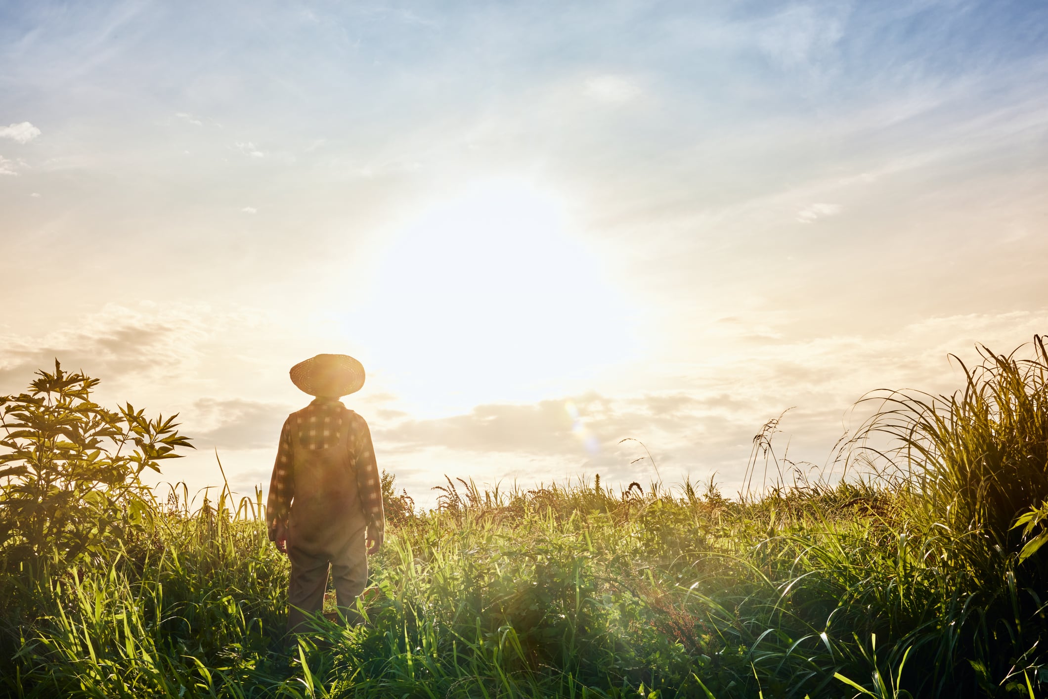 Impending crisis: Japan’s farmer exodus laid bare in stark new data
