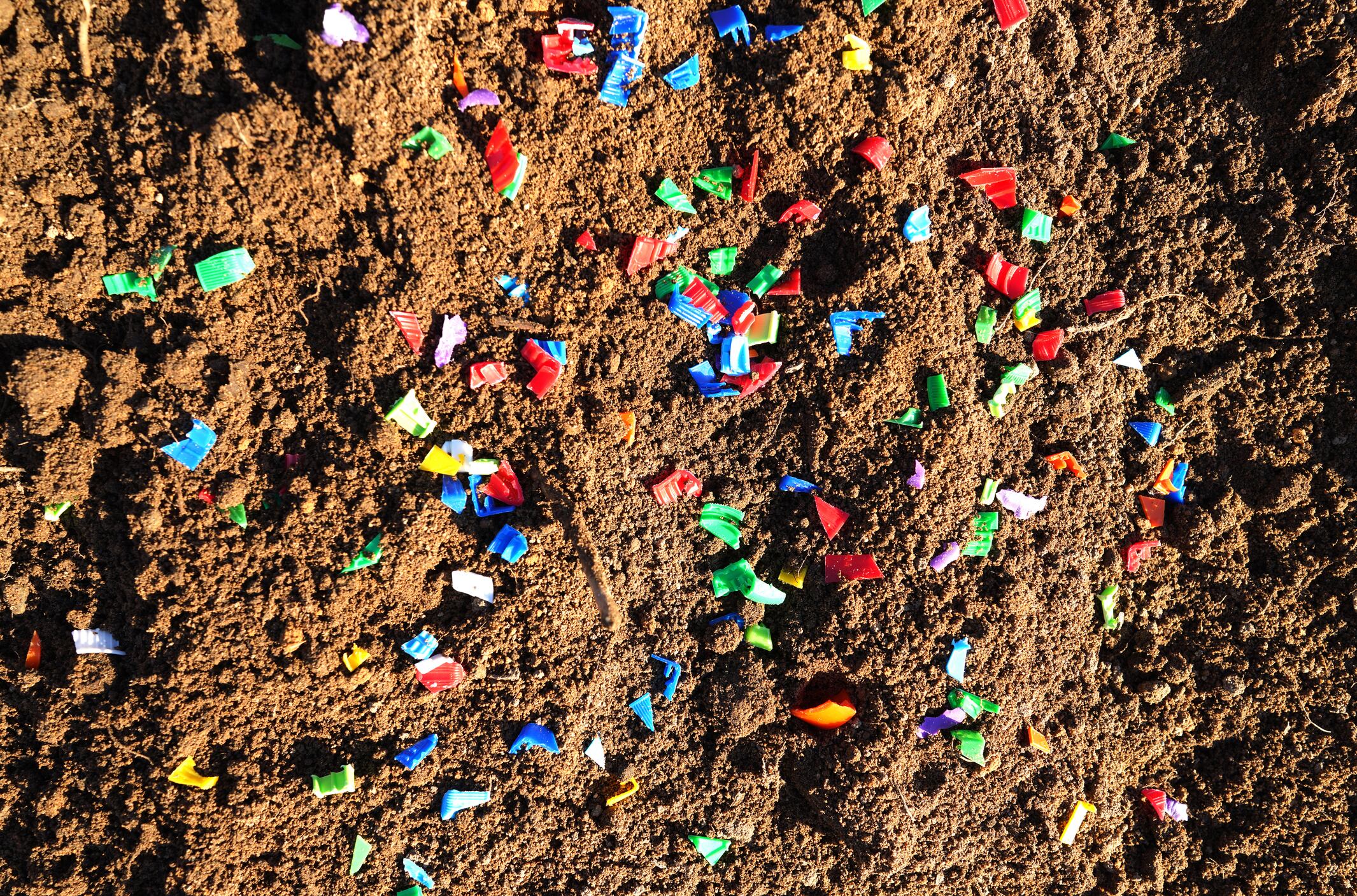 Microplastics and PFAS contamination are raising concerns not just for soil fertility, but for public health.