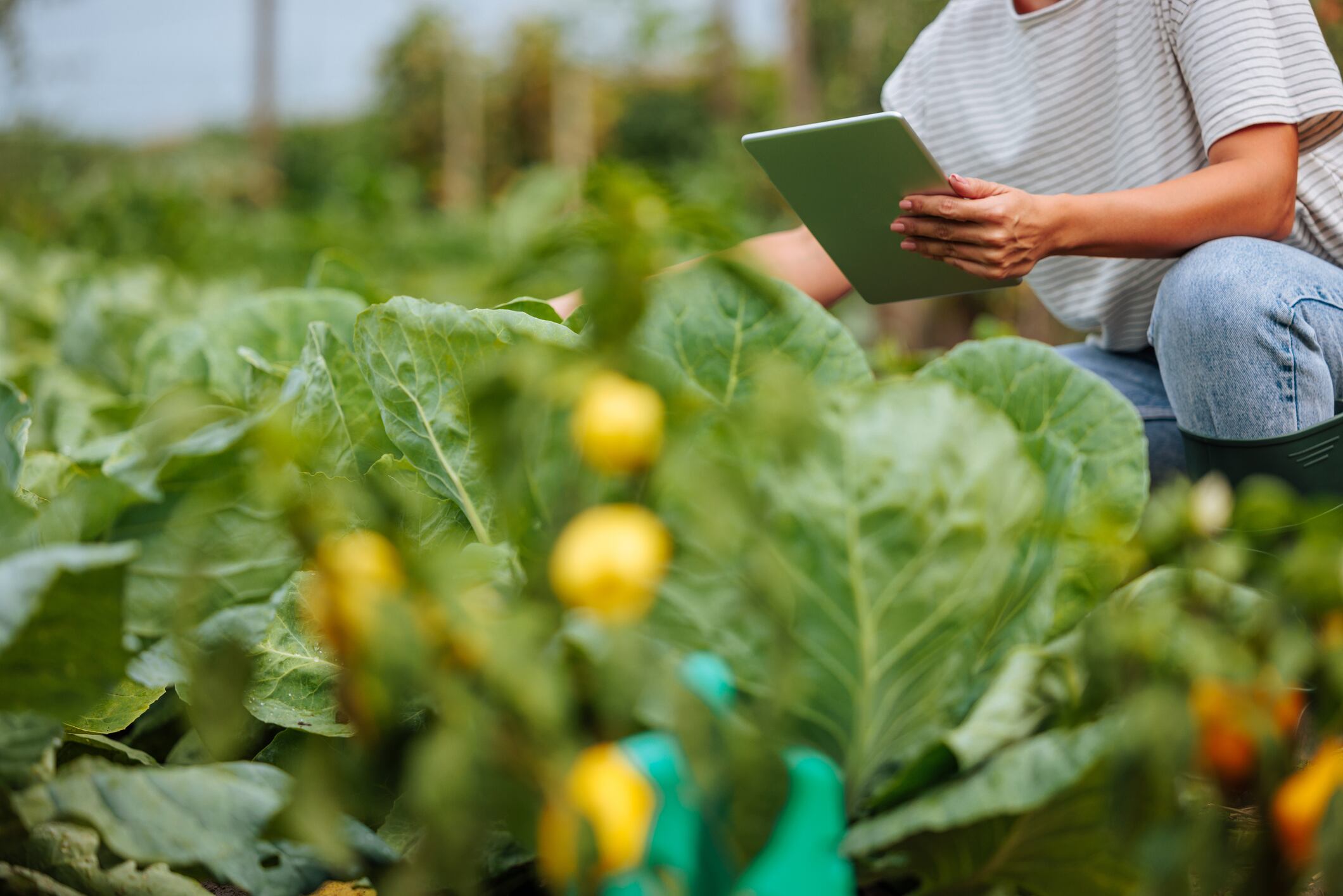 Successful agtech firms grow by learning from friction rather than attempting to remove it, a study says.