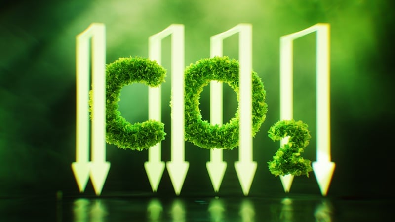 CO2 being captured by stapples