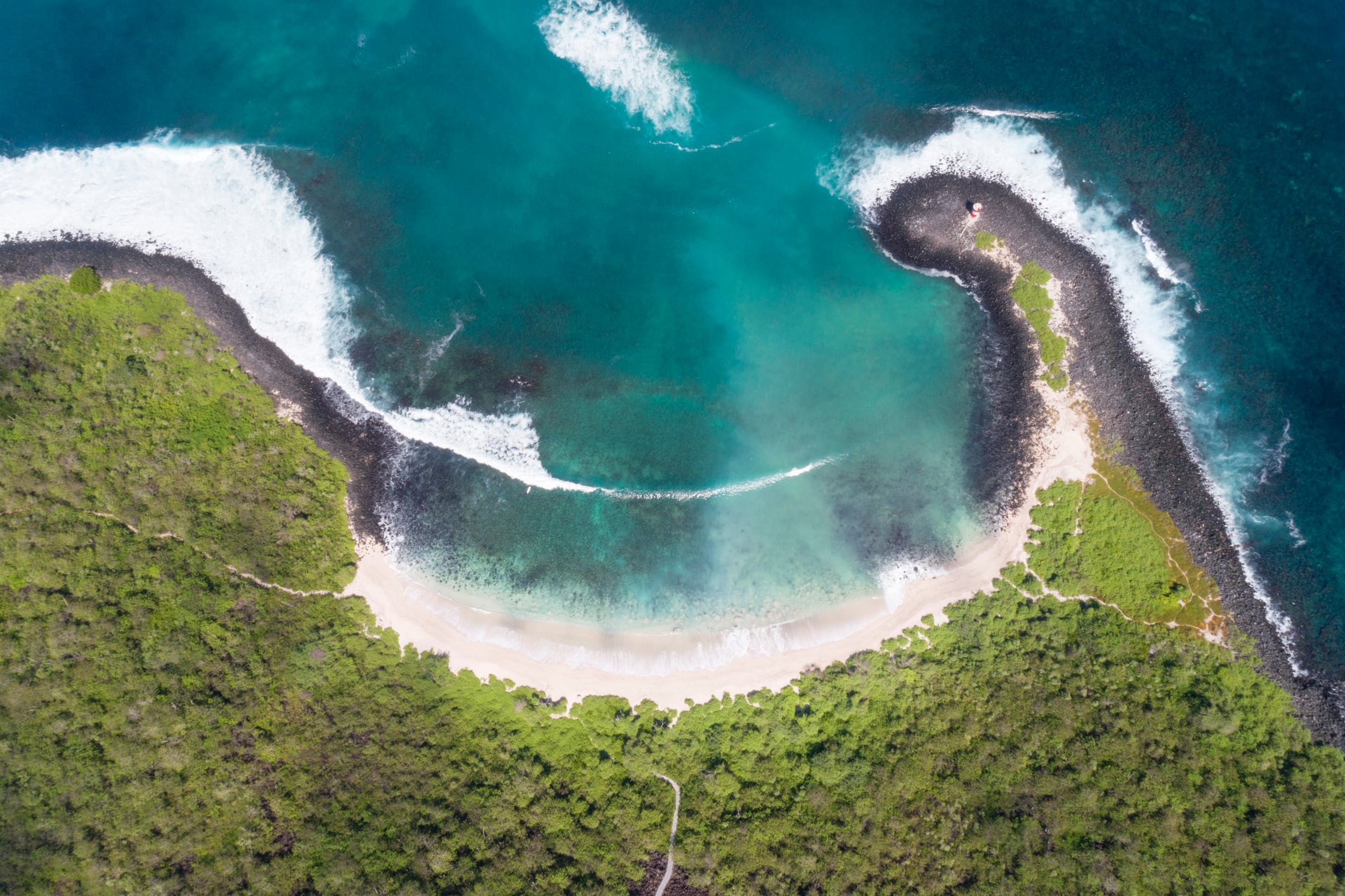 Iyris on the plant science innovation helping to combat climate change