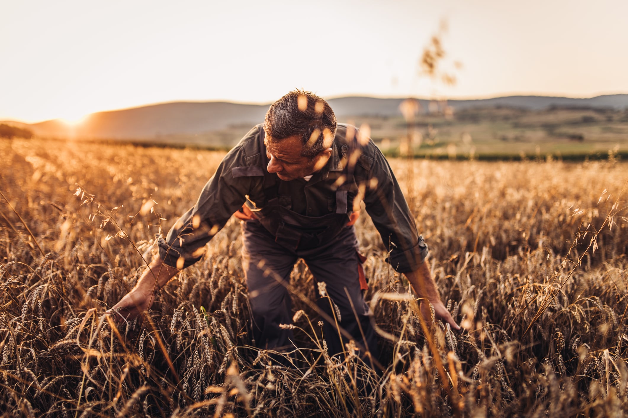 The new “product-based” approach for gene-edited crops mirrors regulatory pathways already established in countries such as the US, Brazil and parts of Asia. But a new alignment with global markets won’t be without friction.