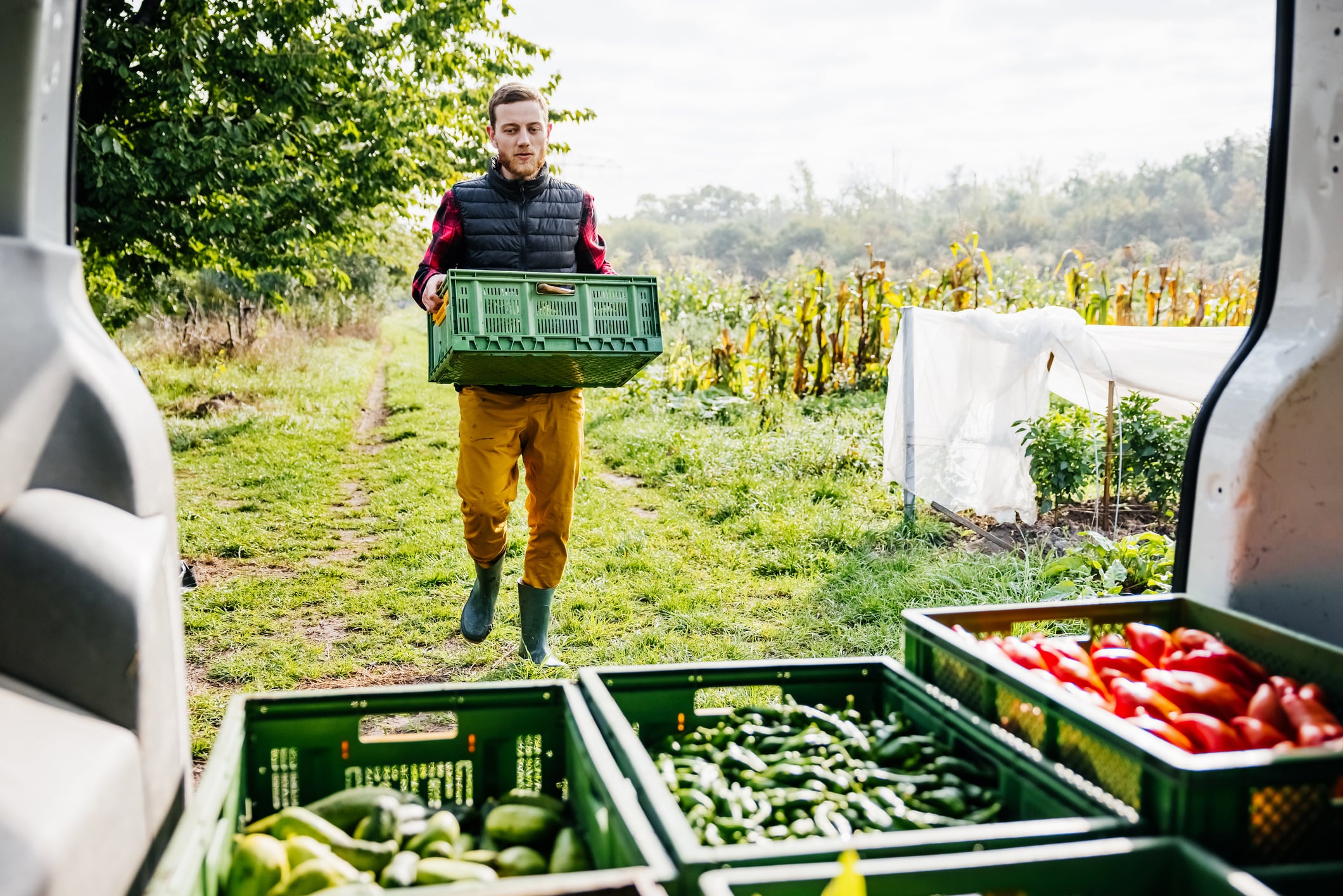 NeoFarm breaks ground on Europe’s largest agroecological vegetable farm following €30m fundraise