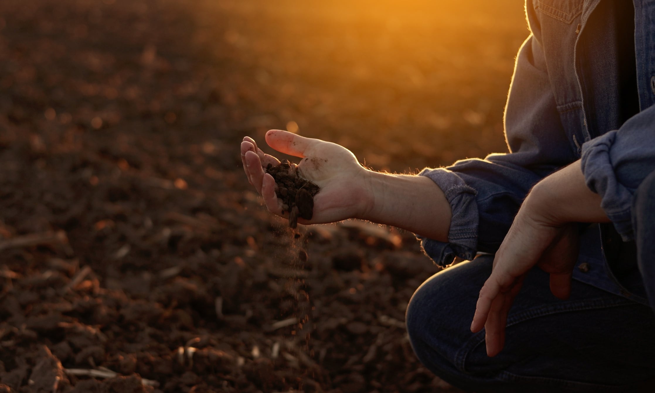‘Regen accelerated’: Holganix believes soil probiotics can give farmers a head start on rebuilding soil health.
