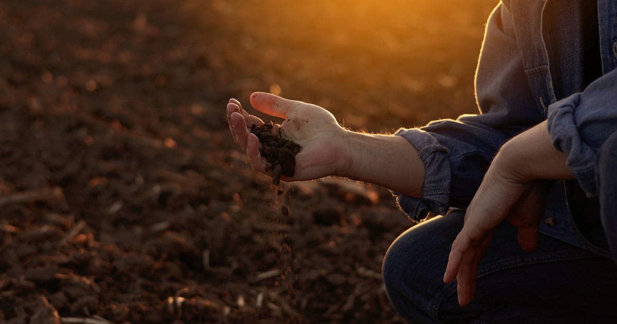 ‘Penicillin for soil’: Holganix plots next phase of regenerative agriculture growth