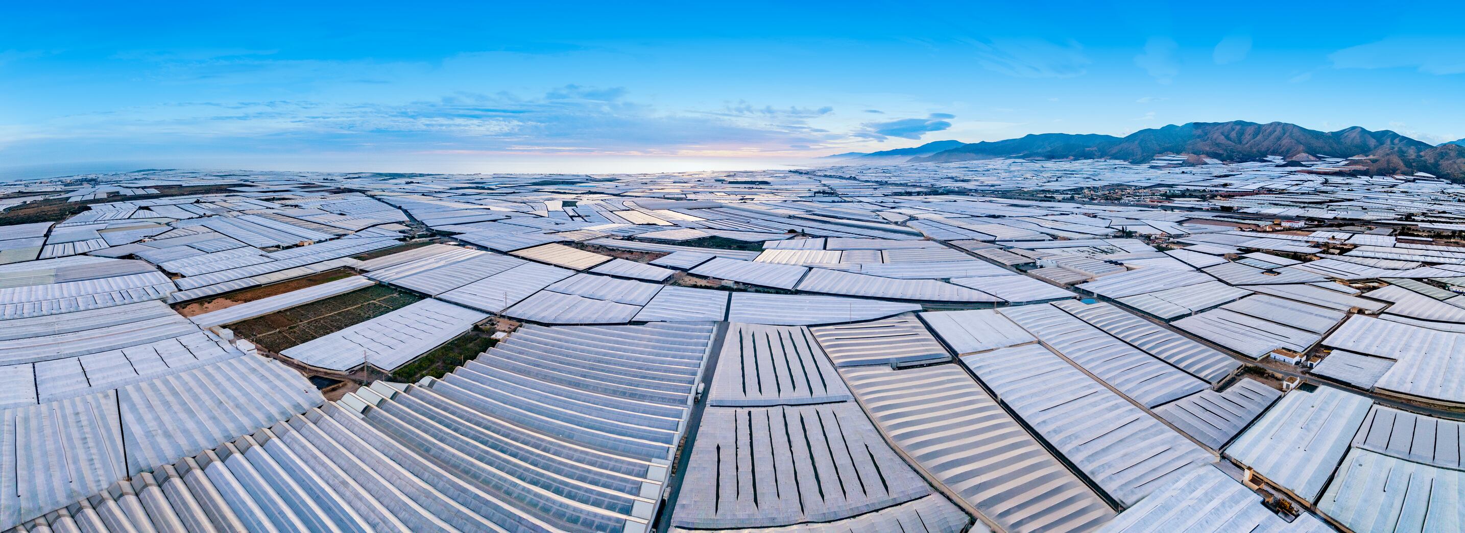 Almería in Spain – home to the world’s largest concentration of greenhouses – and the site of Syngenta’s new $10m R&D centre targeting rising pathogen threats, now emerging roughly every two years.