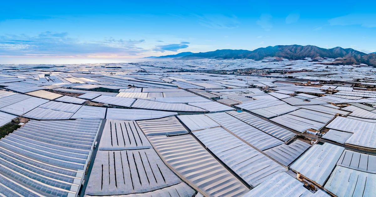In the ‘Sea of Plastic’, Syngenta builds a frontline defence against global crop disease