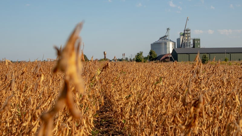 Corteva CEO discusses strength of U.S. soybean, split in H2 at Bank of America event 