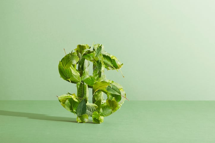 Enhancing sustainability in supply chains: Leveraging feed solutions for collective progress