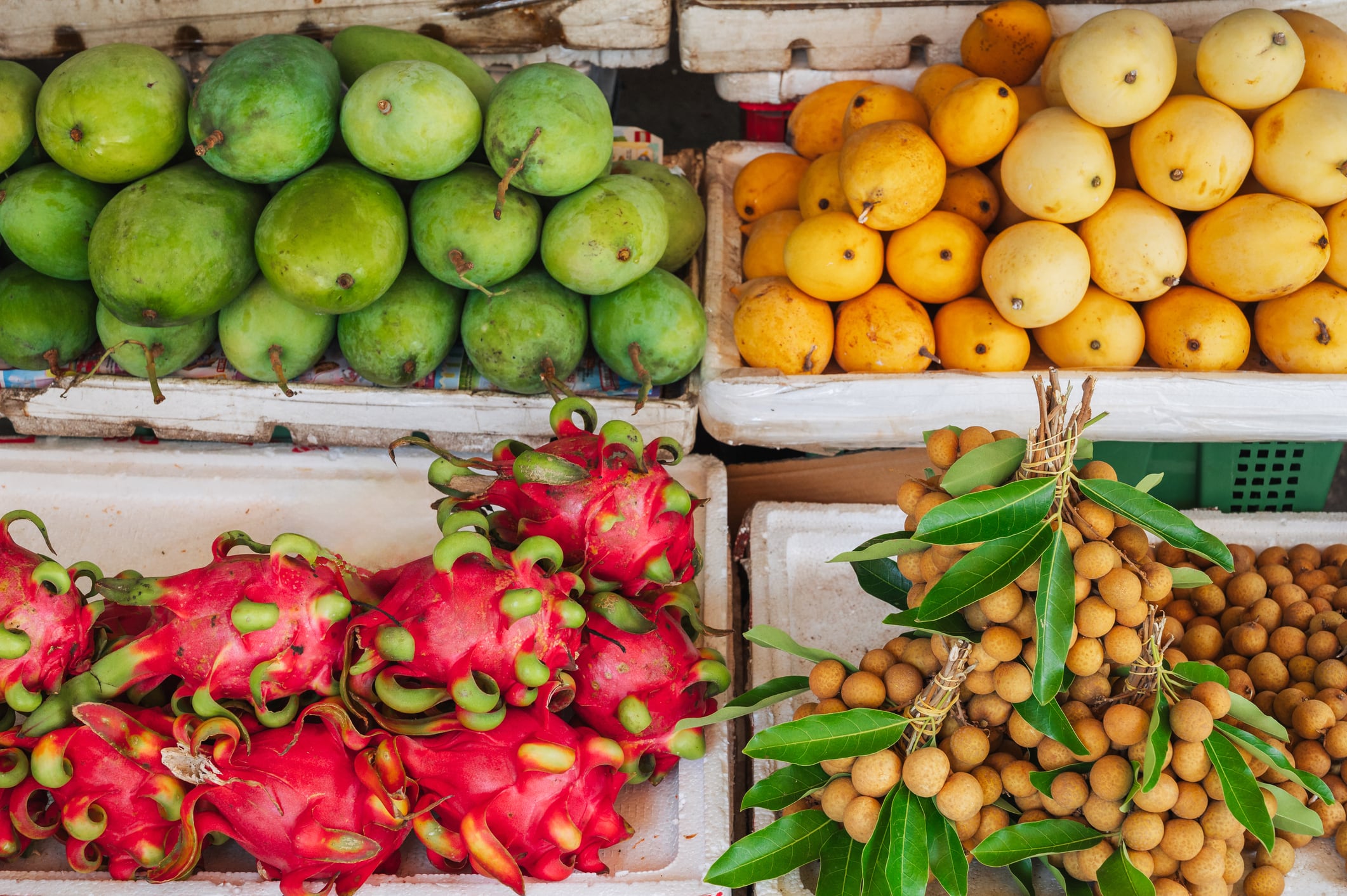 Fruitful partnership: Vietnam agtech initiative to unlock U$12m opportunity in global fruit market