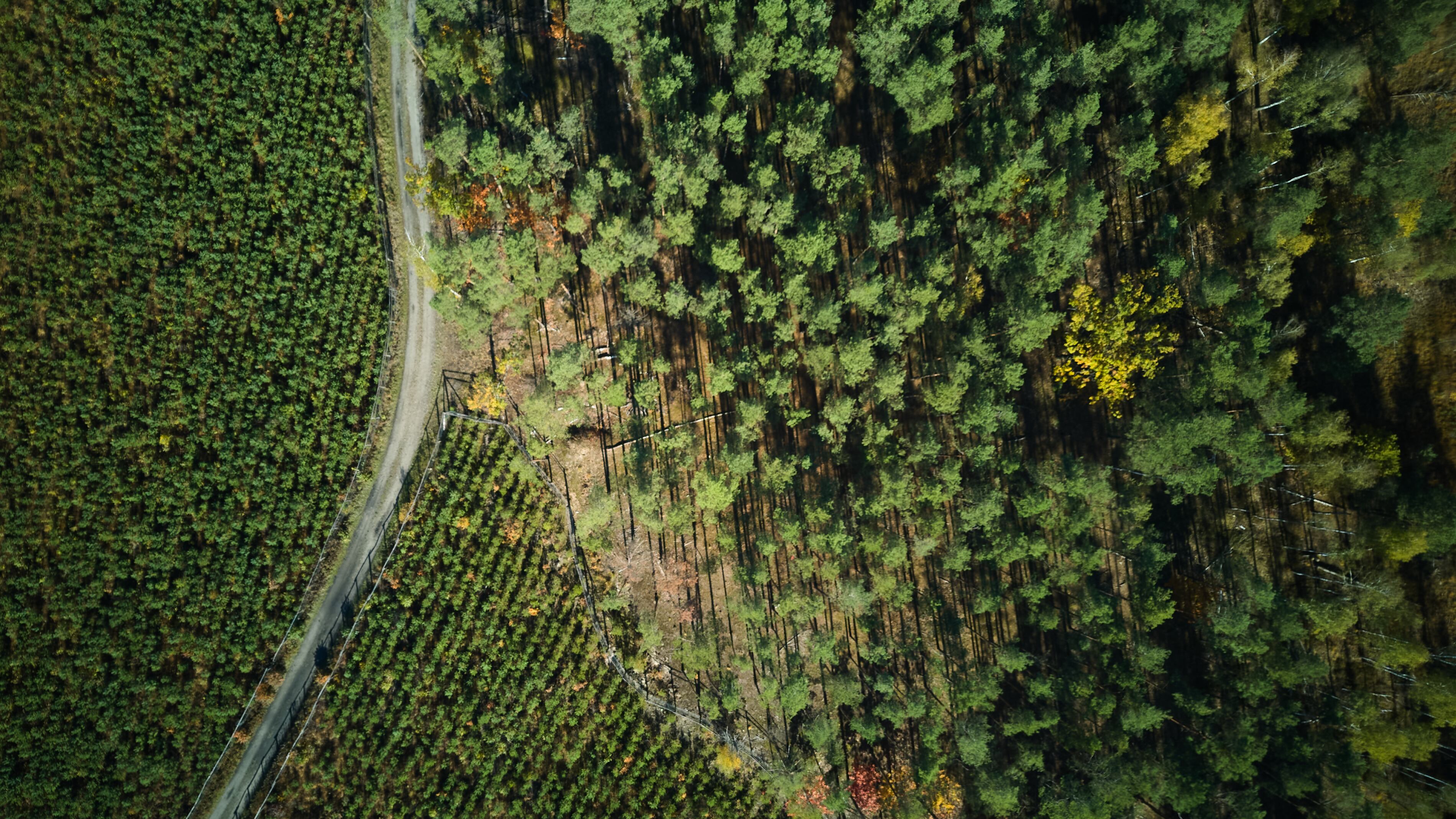 The CRCF has established the rules needed to create a credible European carbon farming market. The next challenge is ensuring enough buyers emerge to make that market work for farmers.