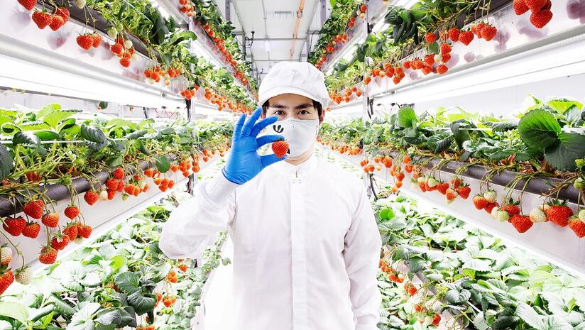 Oishii secures $150m Series C as premium strategy sets it apart from vertical farming failures