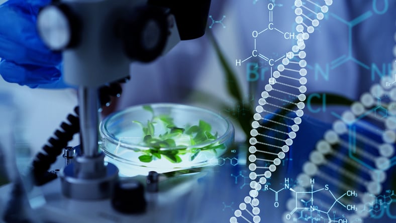 UK government set to advance precision breeding legislation for gene-edited crops
