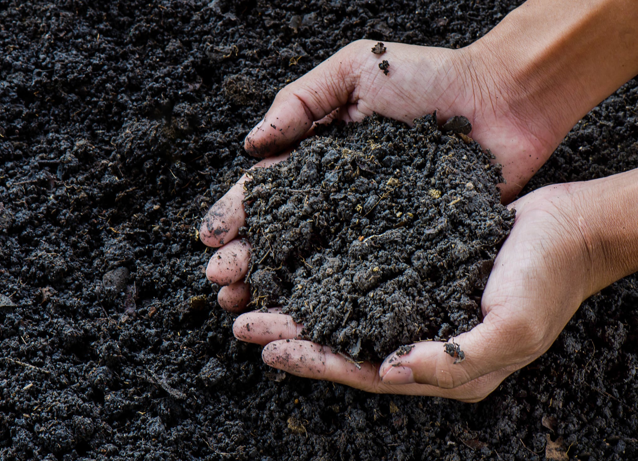 60% of European soils are considered unhealthy, EIT says, highlighting the urgent need for more sustainable solutions.