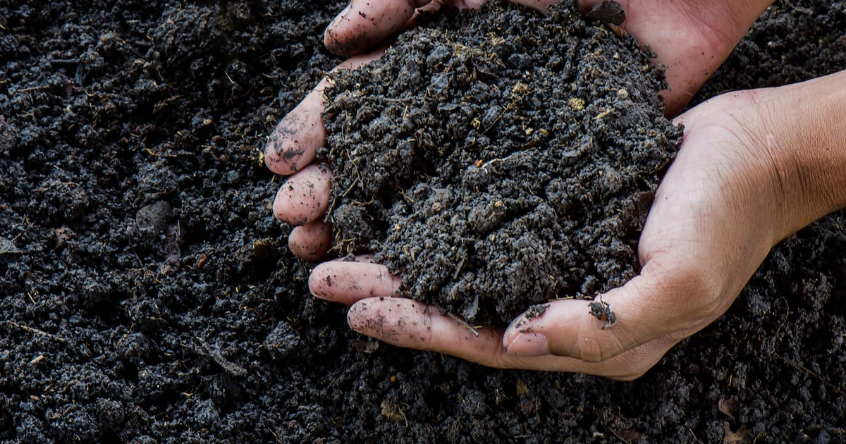 EIT Food backs 65 start-ups in 2026 FAN programme to fast-track agri-food innovation