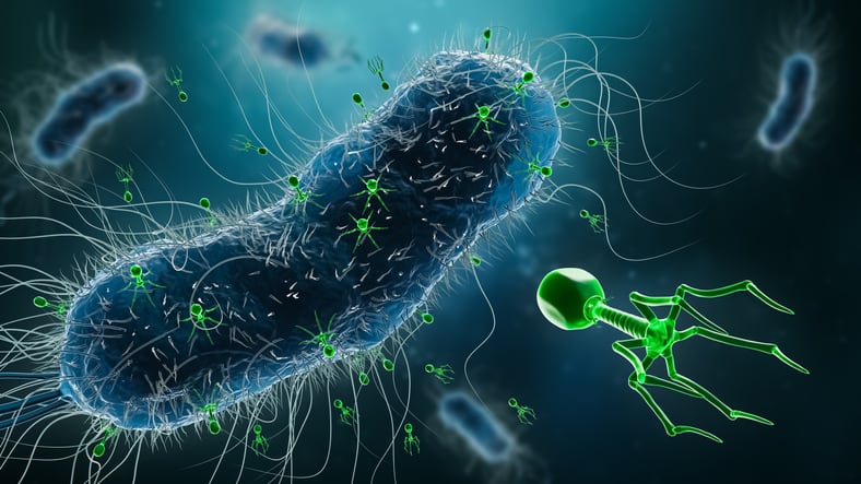 EMA approves phage therapy guidelines