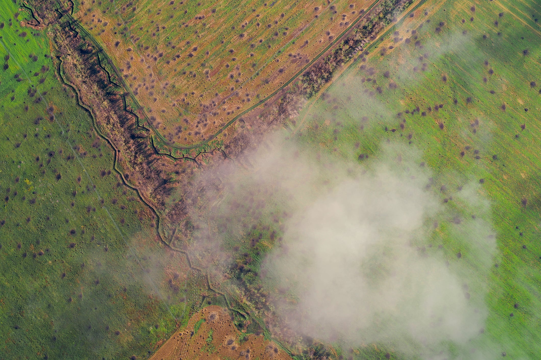 War demands faster decisions: KSG Agro turns to AI to navigate Ukraine’s high‑stakes agriculture