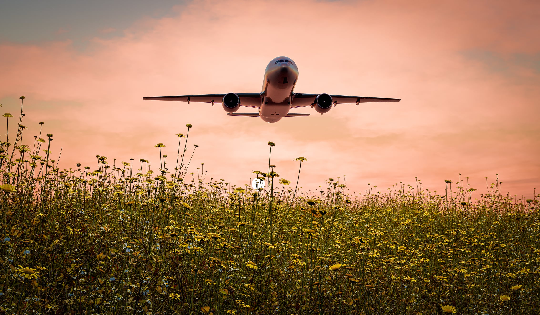 Is this the UK’s chance to lead on sustainable aviation fuels?