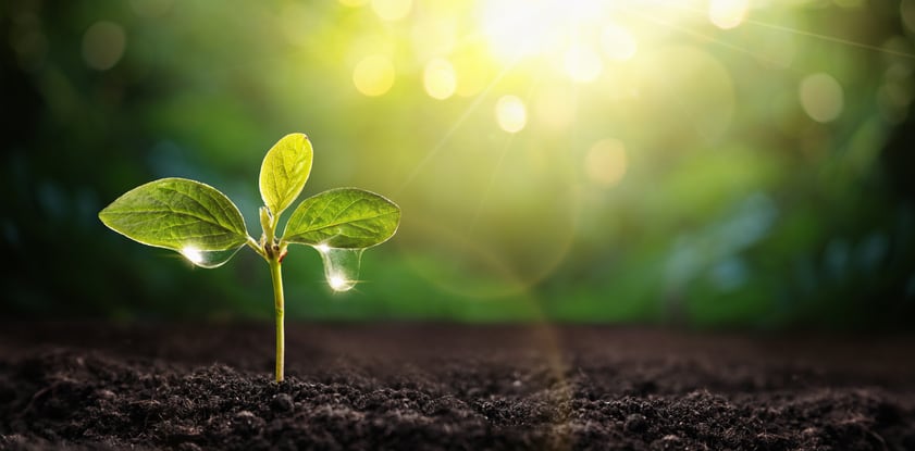 Investors urged to back regenerative farming as Brazil fertiliser plan threatens net zero goals