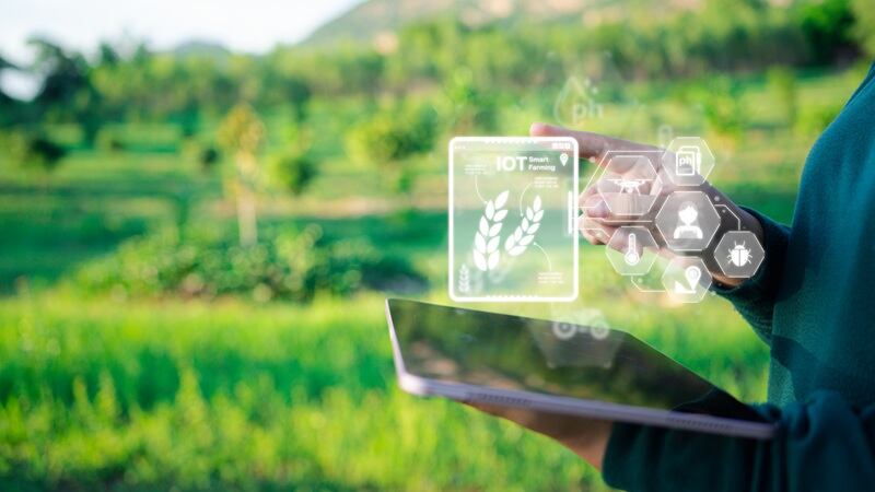 Someone holding a tablet in a farm field