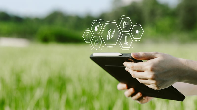 A farmer using a tablet