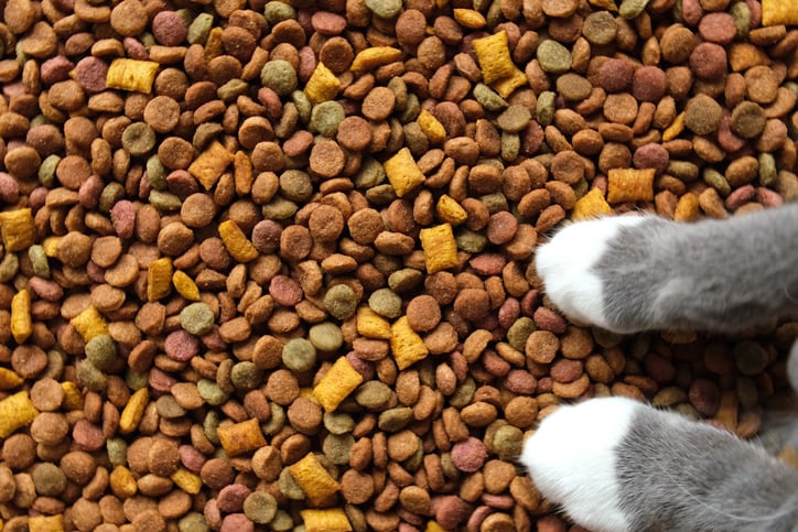 Pet food industry shifts: Merger deal, novel ingredients, and a new push for sustainability