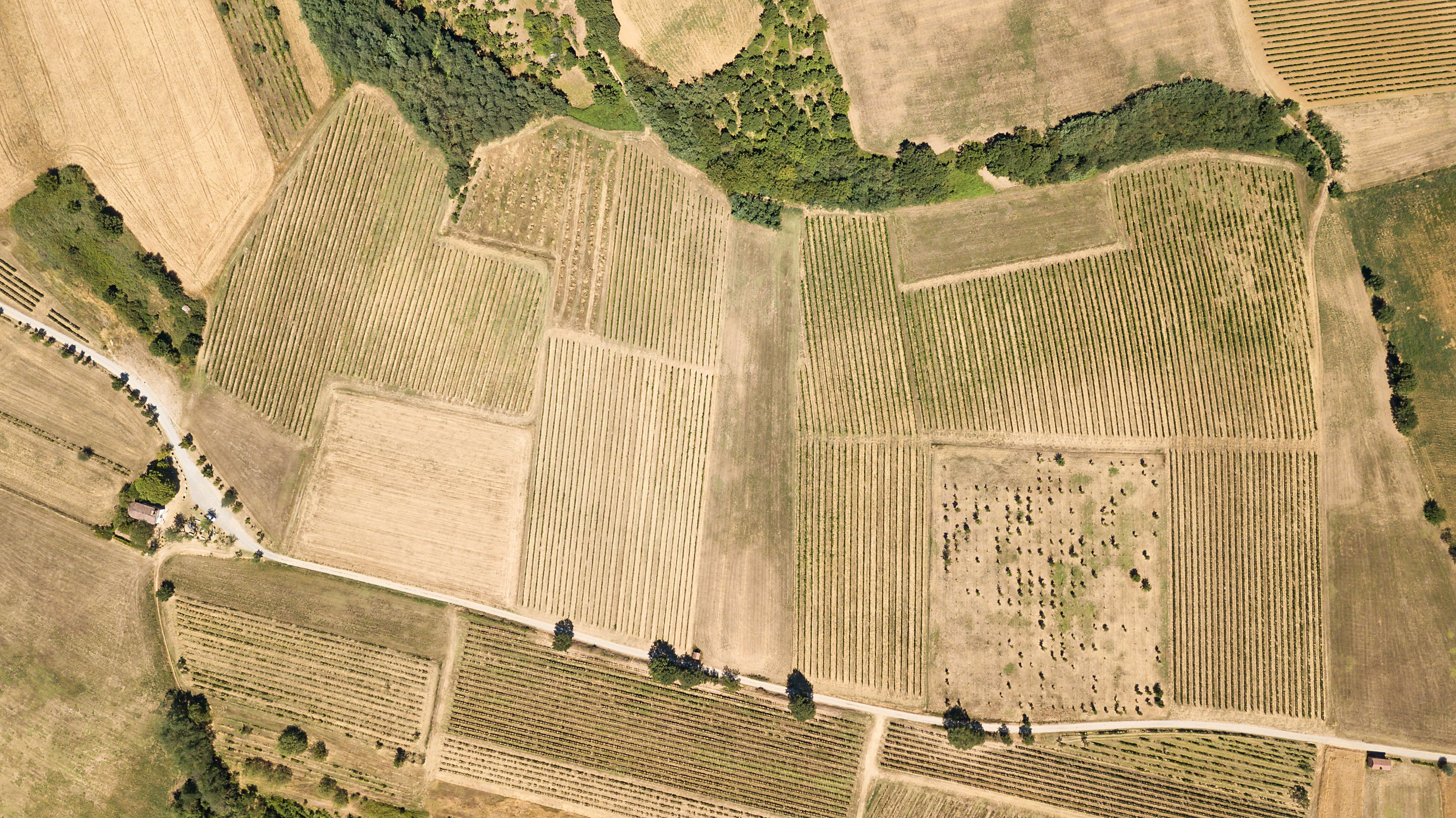 Bordeaux estate becomes first vineyard to be operationally monitored by hyperspectral satellites