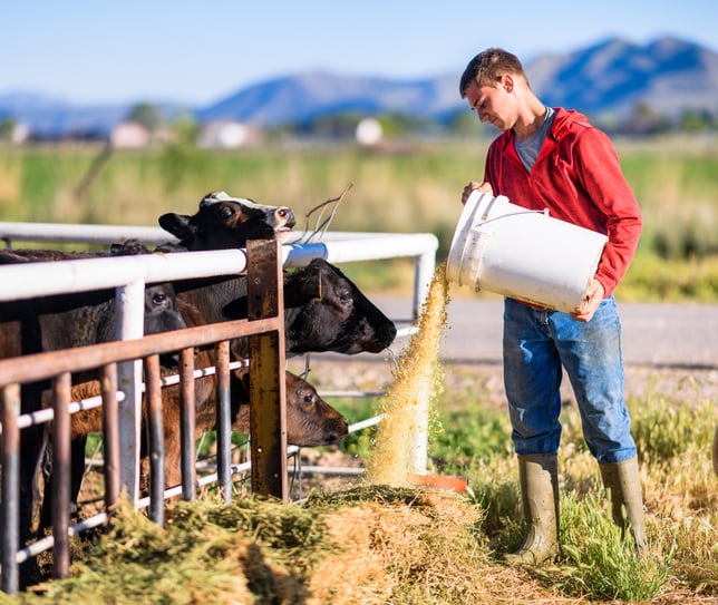 ‘Aggressive’ usage of technology by young and growing farms revealed