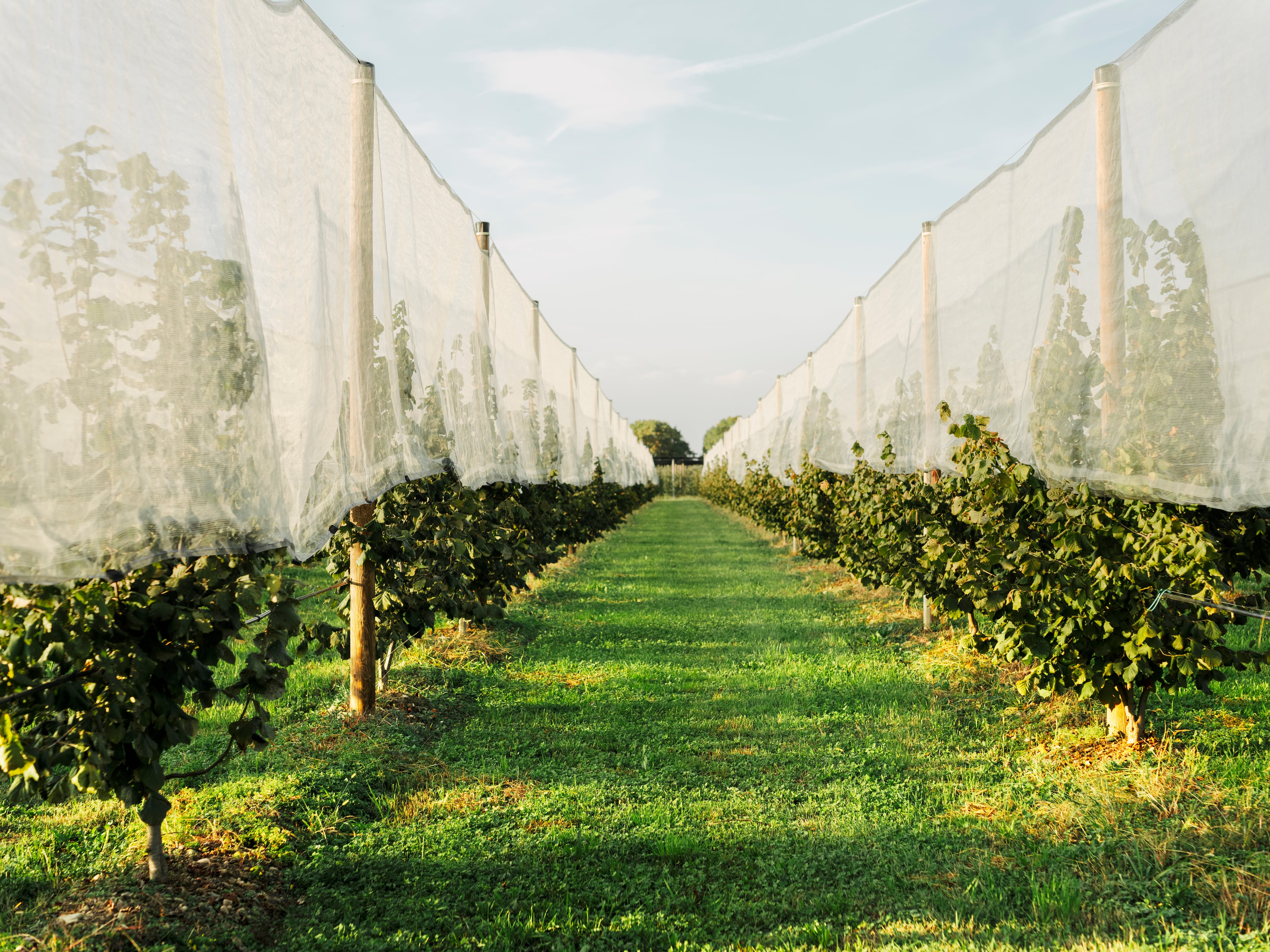 Despite strong support, survey respondents admitted they did not fully understand the wider benefits regenerative farming can deliver for biodiversity, water retention and carbon reduction.