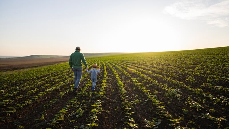 A farmer walking in a field with his son