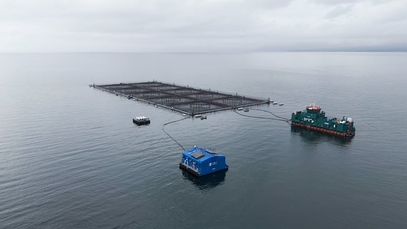 How this Chilean aquaculture company uses oxygen to improve sustainability