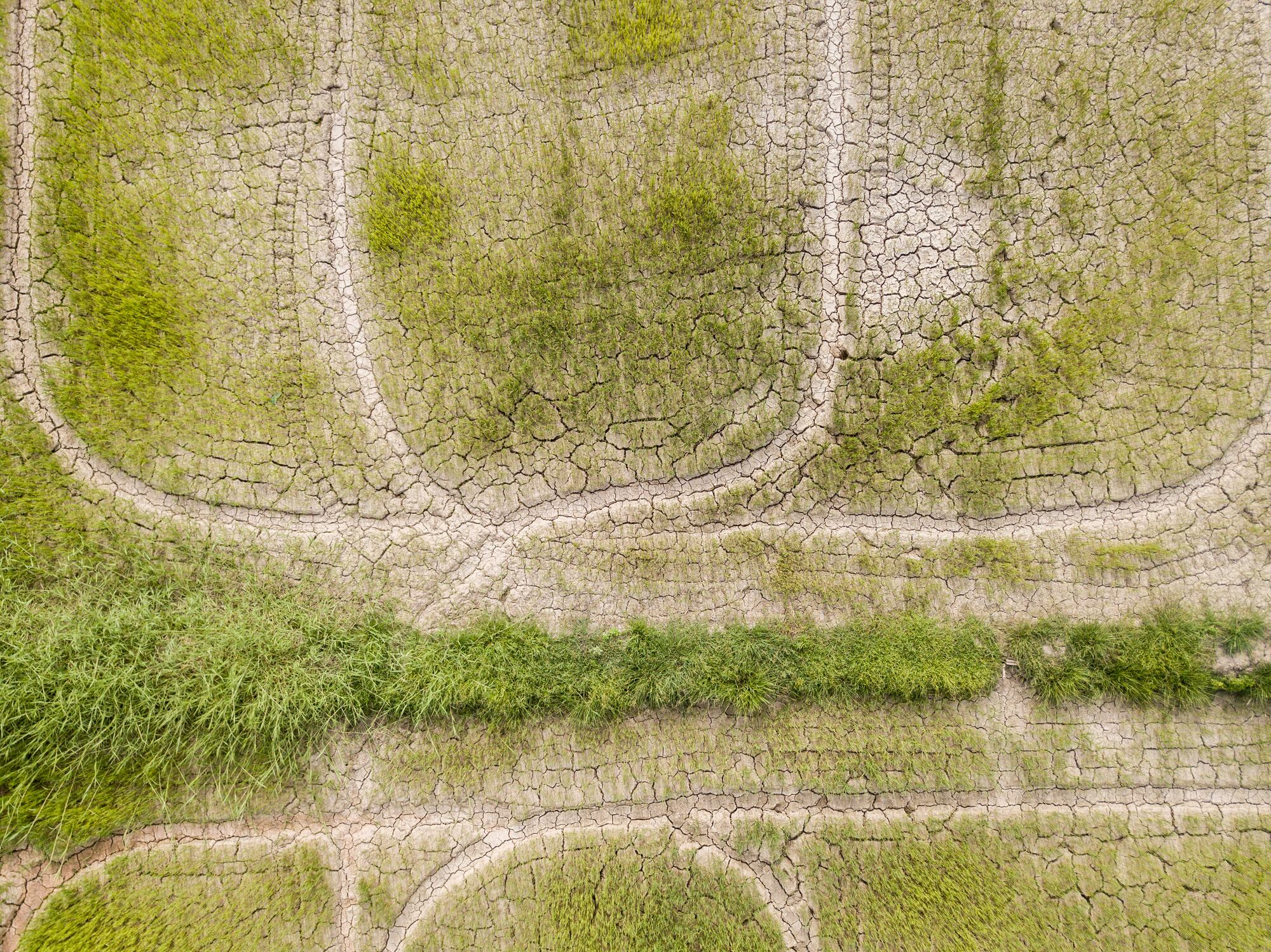 Evidence suggests that with the right mix of regulation, incentives and innovation, soil degradation can be slowed and even reversed, scientists say, helping safeguard farm productivity and future food supplies.
