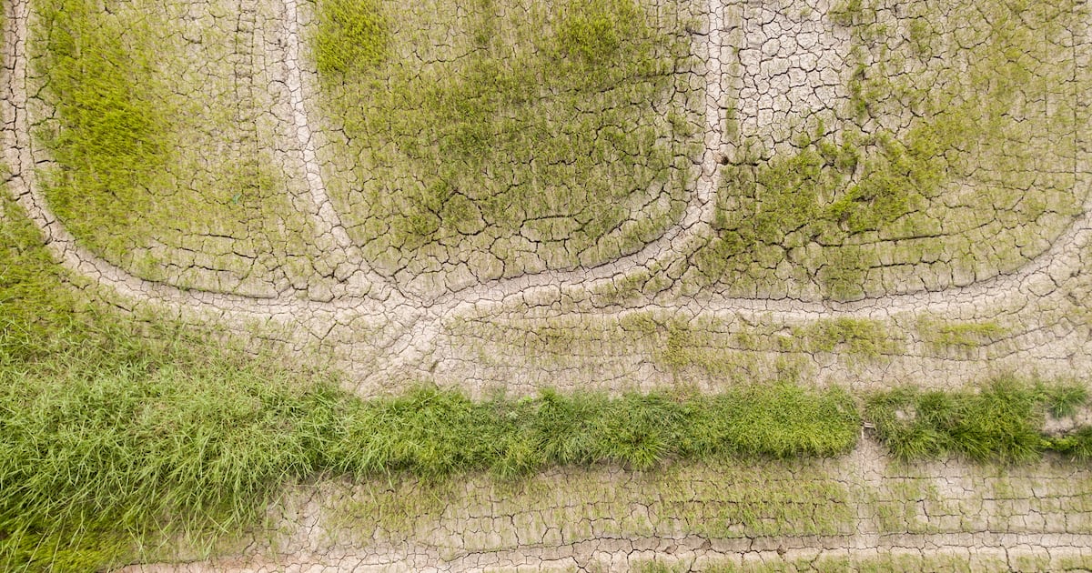 Soil degradation is quietly cutting global food supplies, landmark study finds