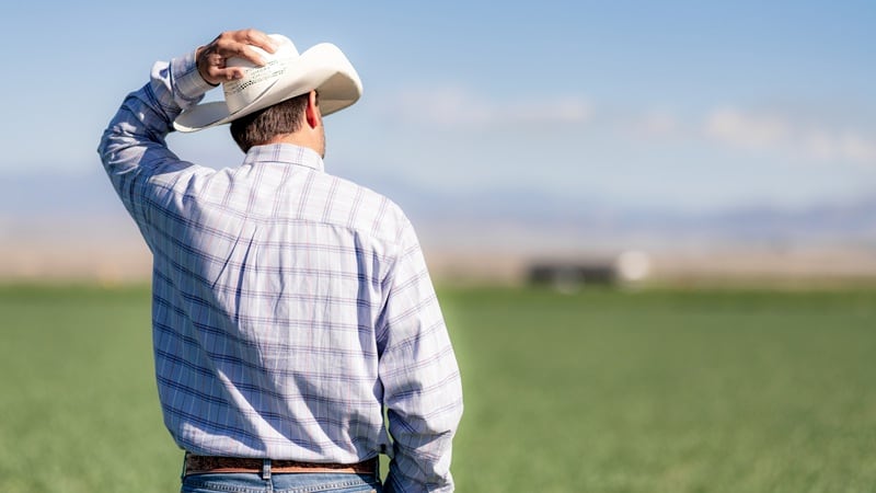 Breaking the bailout or bust cycle: Why some farmers are cautious about more govt support